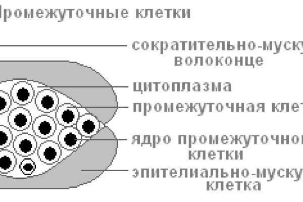 Кракен форум