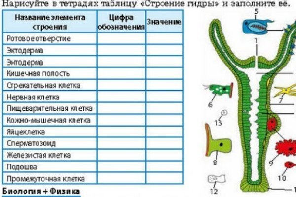 Кракен маркет дарнет только через тор